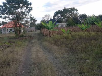 15x20m Plot Imbaseni Kwa Aloyce TZS 5.0M